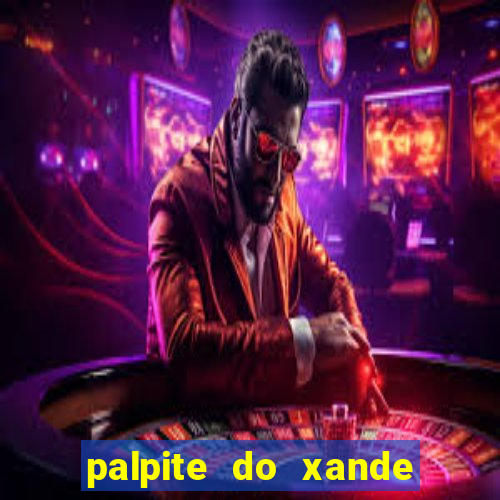 palpite do xande para hoje